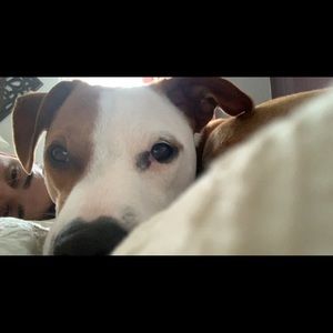 Meet your Posher, Jack